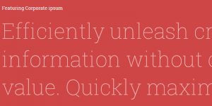 lorem lipsum sample text content